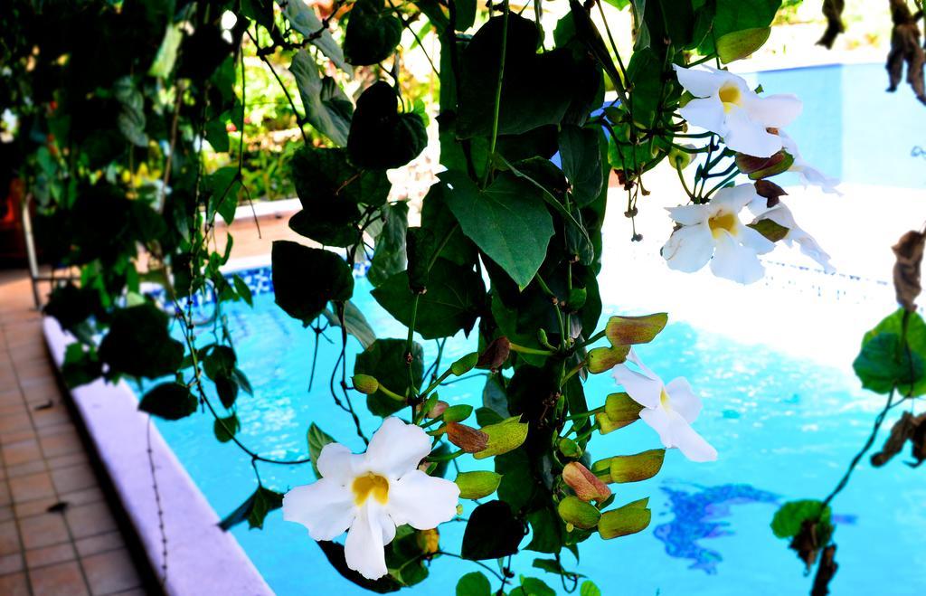 Casa Ramirez Hostel Kota Panama Bagian luar foto